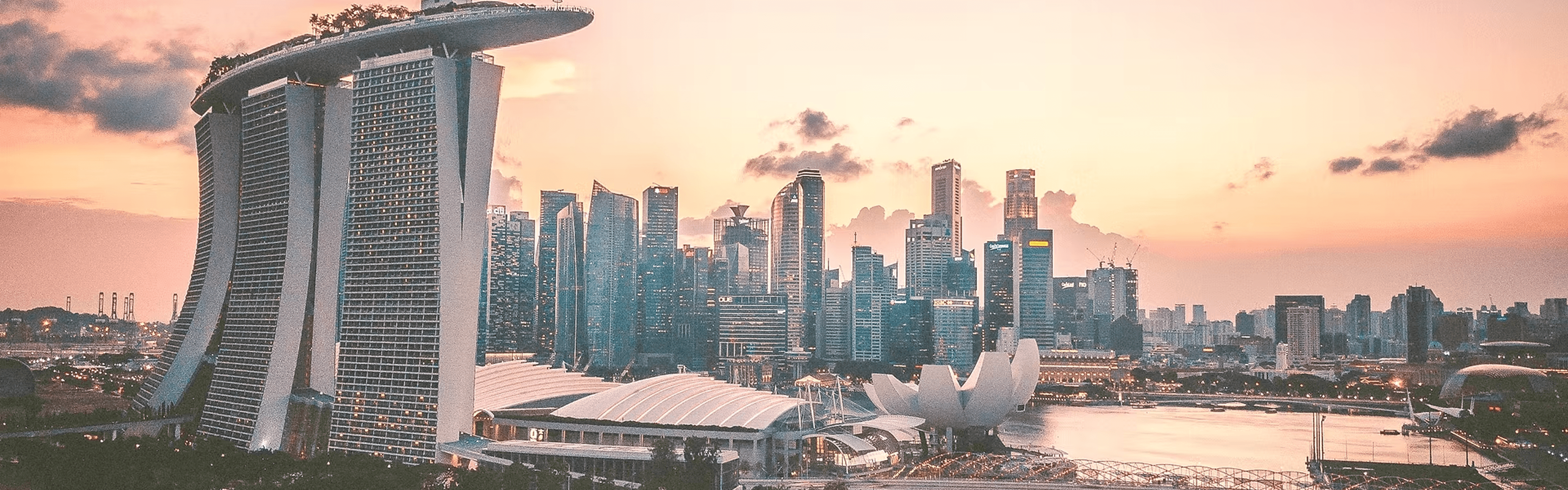 Welcome to Indonesian Professionals Association in Singapore